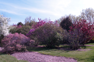 Picture of Patterson Garden Arboretum
